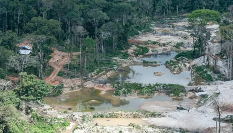 Vale: Mineração em terras indígenas depende de consentimento