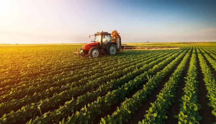 Pacote de crédito agrícola será lançado pelo Governo Federal