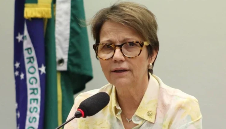 Ministra da Agricultura quer exclusão de fertilizantes em sanções