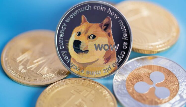 Dogecoin supera o Bitcoin e é a criptomoeda mais procurada, aponta relatório