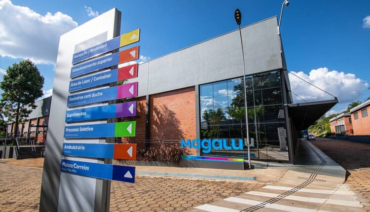 Magazine Luiza (MGLU3) vai distribuir quase 17% do lucro em dividendos para acionistas