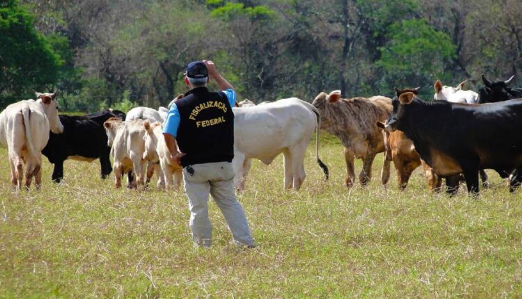 Fiscais federais agropecuários aprovam indicativo de greve em assembleia