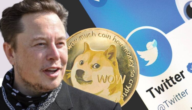 Elon Musk critica criador do Dogecoin por causa de bot no Twitter