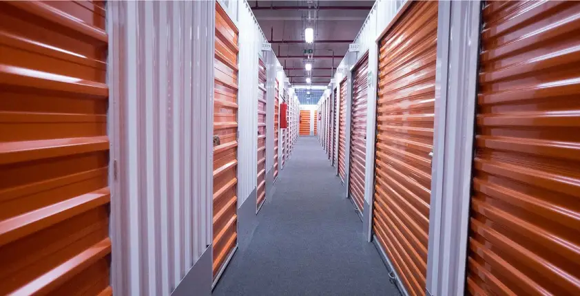 GoodStorage recebe investimento da Evergreen visando expansão