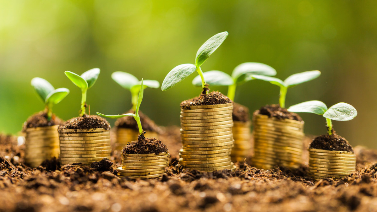 Green bonds: saiba o que são e como esses títulos funcionam