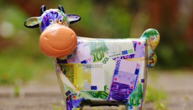 Cash cow: conheça esse tipo de empresa