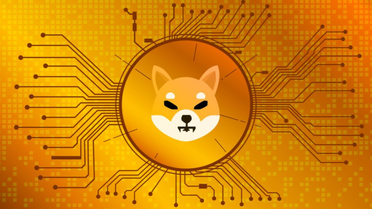 25 trilhões de SHIB são movidos para fora de exchange