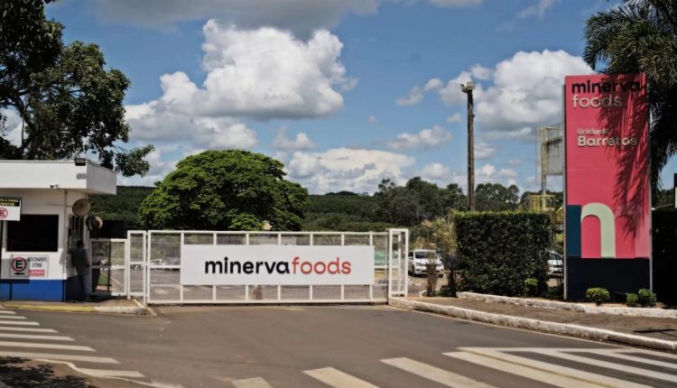 Minerva (BEEF3) registra lucro líquido de R$ 114 milhões no 1T23, queda de 0,52% na base anual