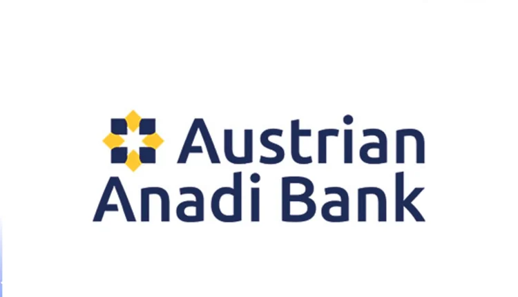Anadi Bank Online Kredit in Österreich, günstig, papierlos und sofort aufs Konto