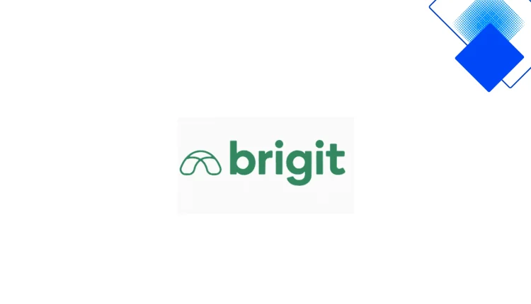 Brigit Cash Advance App Review - $9.99 Subscription, Fast Funding & Budget Tools