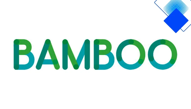 Honest Bamboo loan review for UK borrowers with fair to poor credit, rates and guarantor options